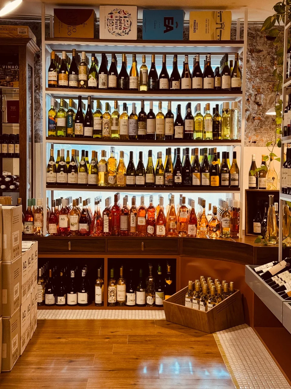 Ambiente e seleção de produtos da Casa Apollonia — fotografia 6