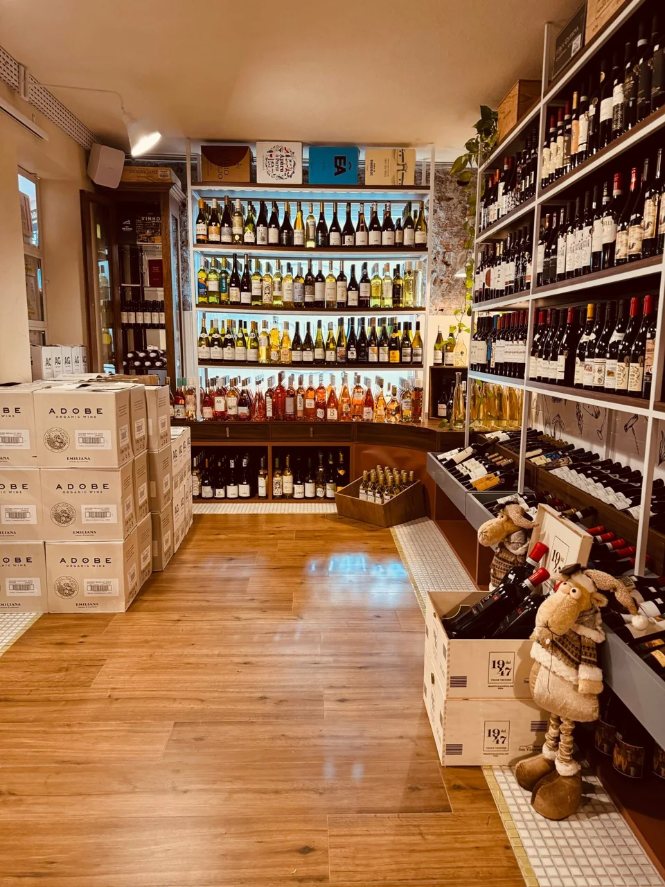 Ambiente e seleção de produtos da Casa Apollonia — fotografia 7